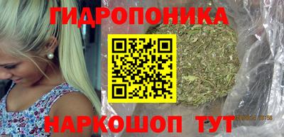 spice Кунгур