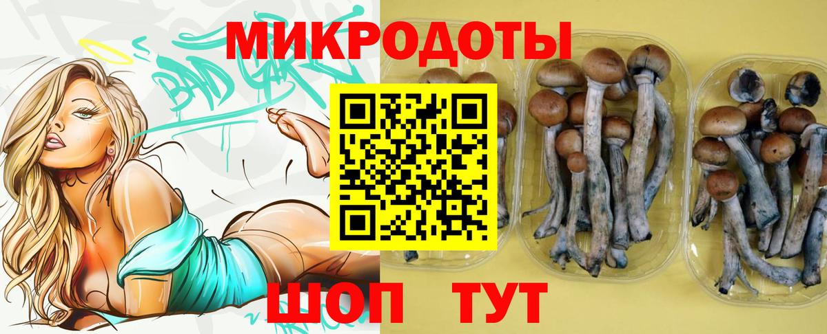 Псилоцибиновые грибы мухоморы Каменск-Уральский
